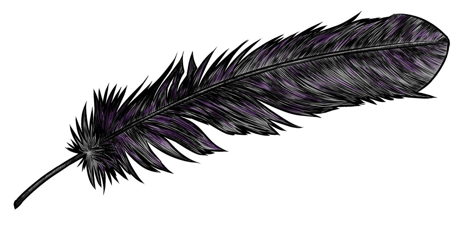 A ragged black feather.